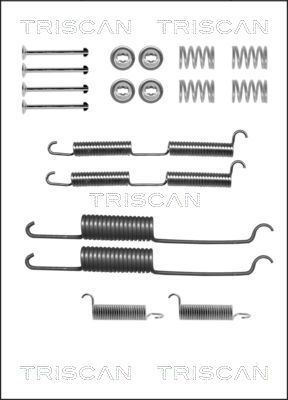 TRISCAN Комплектующие, тормозная колодка 8105 252569