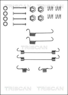 TRISCAN Комплектующие, тормозная колодка 8105 382518