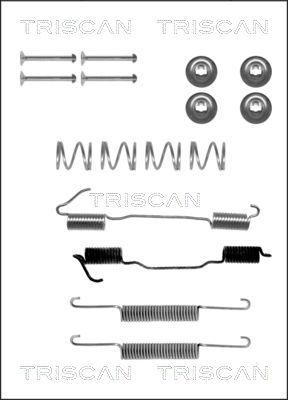 TRISCAN Комплектующие, тормозная колодка 8105 652160