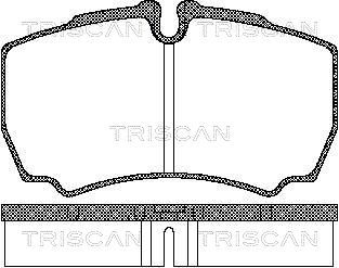 TRISCAN stabdžių trinkelių rinkinys, diskinis stabdys 8110 15029
