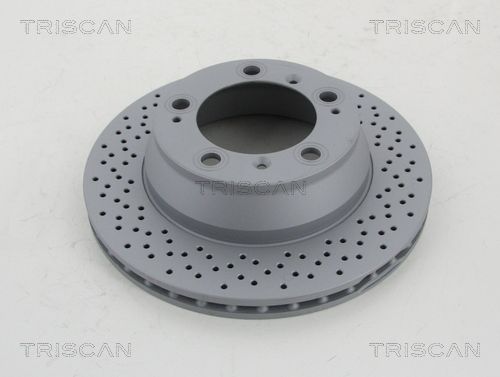 TRISCAN stabdžių diskas 8120 101081C