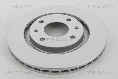 TRISCAN stabdžių diskas 8120 10113C