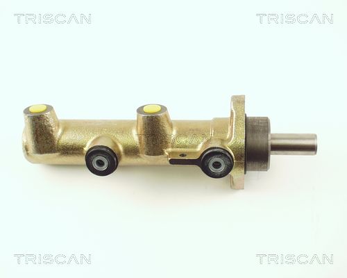 TRISCAN pagrindinis cilindras, stabdžiai 8130 25114