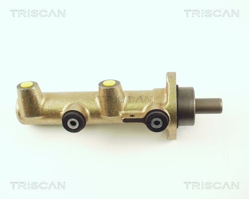 TRISCAN pagrindinis cilindras, stabdžiai 8130 25115