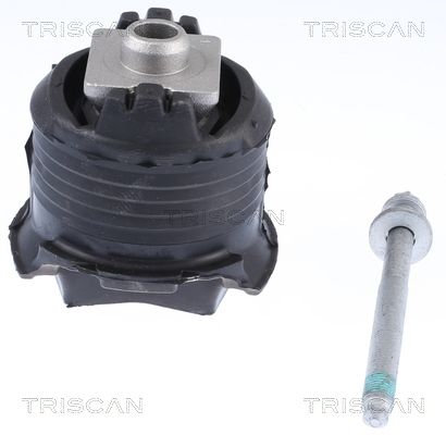 TRISCAN Ремкомплект, поперечный рычаг подвески 8500 23806