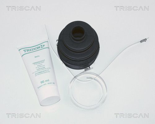 TRISCAN Комплект пылника, приводной вал 8540 17802