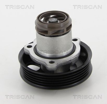 TRISCAN vandens siurblys 8600 29059