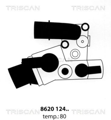 TRISCAN termostatas, aušinimo skystis 8620 12480