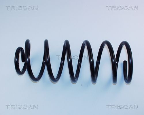 TRISCAN spyruoklė 8750 2995