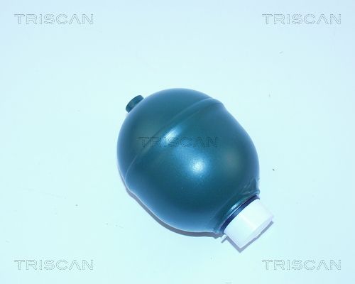 TRISCAN pakabos sfera, pneumatinė pakaba 8760 38104