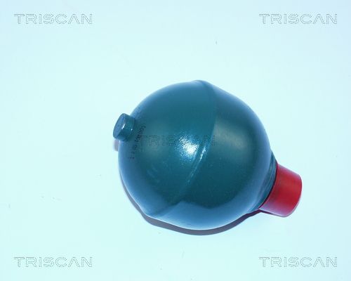 TRISCAN Гидроаккумулятор, подвеска / амортизация 8760 38110