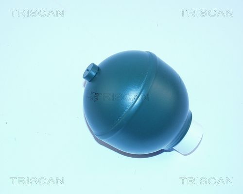 TRISCAN Гидроаккумулятор, подвеска / амортизация 8760 38112