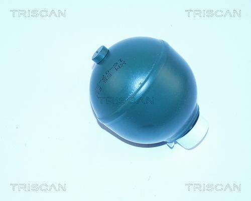 TRISCAN pakabos sfera, pneumatinė pakaba 8760 38114