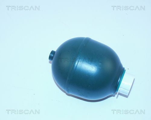 TRISCAN Гидроаккумулятор, подвеска / амортизация 8760 38115