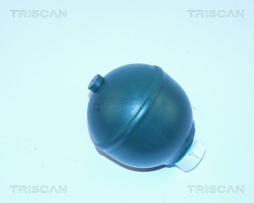 TRISCAN pakabos sfera, pneumatinė pakaba 8760 38118
