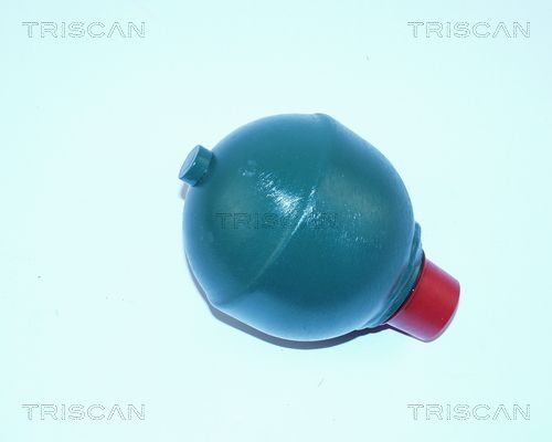 TRISCAN Гидроаккумулятор, подвеска / амортизация 8760 38120