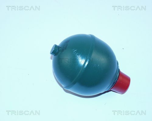 TRISCAN pakabos sfera, pneumatinė pakaba 8760 38121