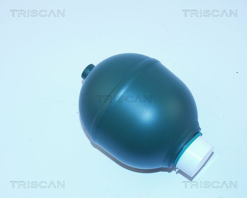 TRISCAN Гидроаккумулятор, подвеска / амортизация 8760 38206