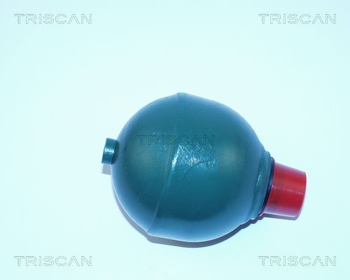 TRISCAN pakabos sfera, pneumatinė pakaba 8760 38211