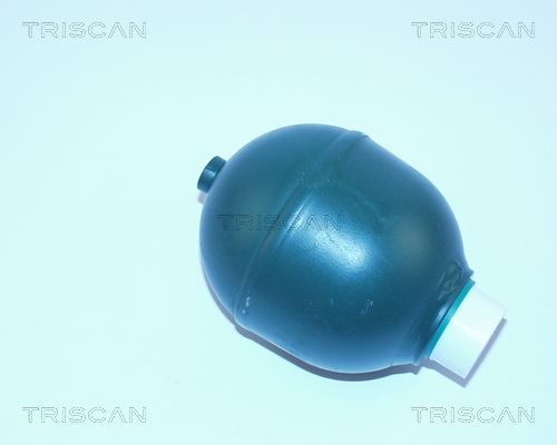 TRISCAN pakabos sfera, pneumatinė pakaba 8760 38212