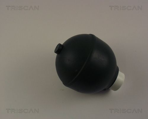 TRISCAN Гидроаккумулятор, подвеска / амортизация 8760 38215
