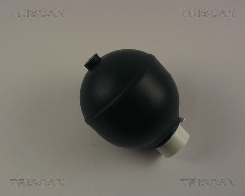 TRISCAN pakabos sfera, pneumatinė pakaba 8760 38216