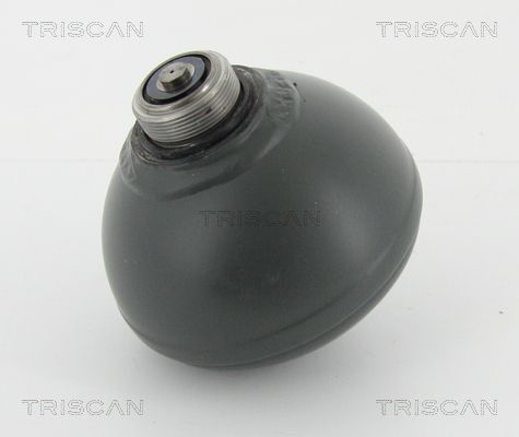 TRISCAN pakabos sfera, pneumatinė pakaba 8760 38228