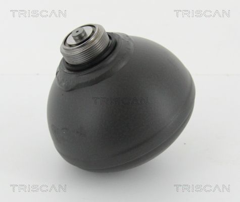 TRISCAN pakabos sfera, pneumatinė pakaba 8760 38242