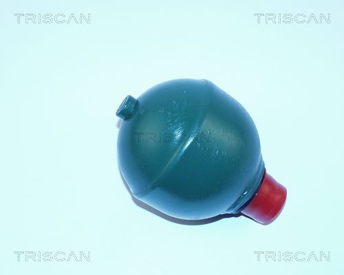 TRISCAN pakabos sfera, pneumatinė pakaba 8760 38303