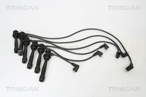 TRISCAN Комплект проводов зажигания 8860 43002