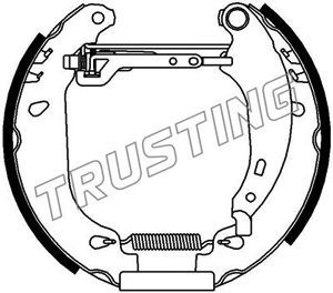 TRUSTING stabdžių trinkelių komplektas 6161