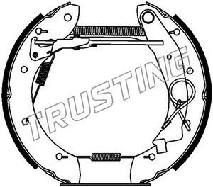 TRUSTING Комплект тормозных колодок 6178
