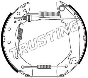 TRUSTING Комплект тормозных колодок 6206