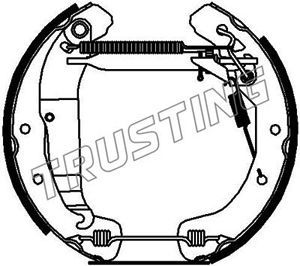 TRUSTING Комплект тормозных колодок 6247