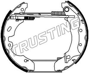 TRUSTING Комплект тормозных колодок 6262
