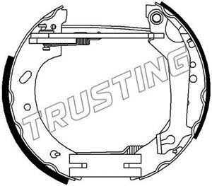 TRUSTING Комплект тормозных колодок 6312