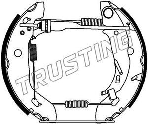 TRUSTING Комплект тормозных колодок 6450