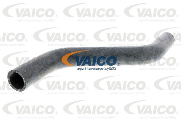 VAICO radiatoriaus žarna V10-0053