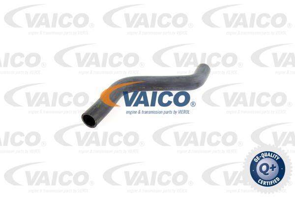 VAICO radiatoriaus žarna V10-0060