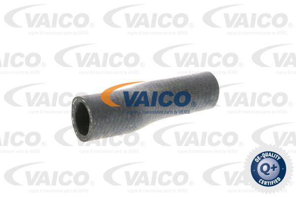 VAICO Шланг радиатора V10-0362