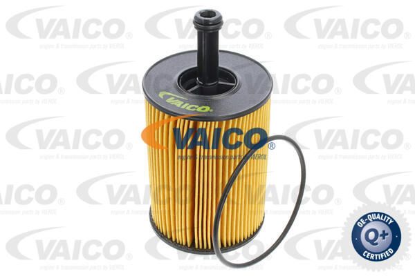 VAICO alyvos filtras V10-0391