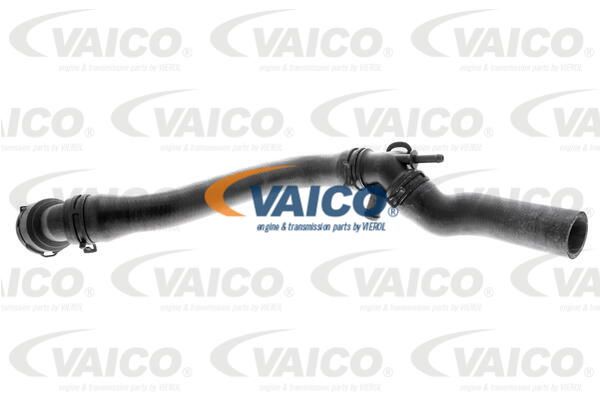 VAICO radiatoriaus žarna V10-1000