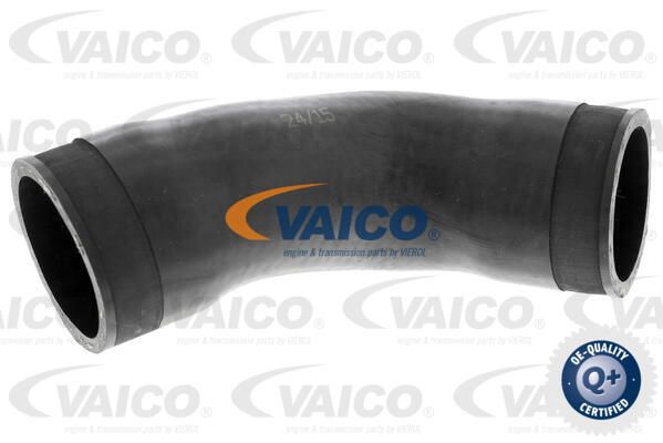 VAICO Трубка нагнетаемого воздуха V10-2884