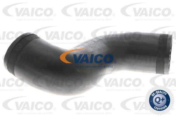 VAICO Трубка нагнетаемого воздуха V10-2895