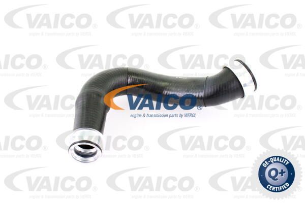 VAICO Трубка нагнетаемого воздуха V10-2903