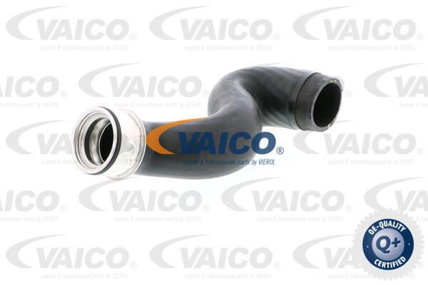 VAICO Трубка нагнетаемого воздуха V10-2922