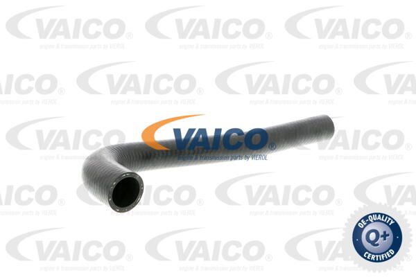 VAICO Шланг радиатора V10-3203