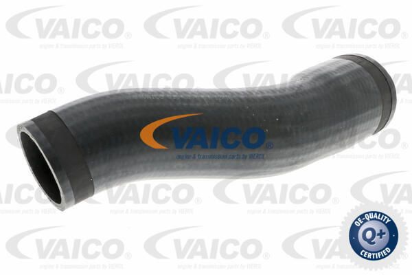 VAICO Трубка нагнетаемого воздуха V10-3773