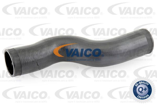 VAICO Трубка нагнетаемого воздуха V10-3776
