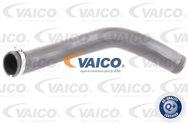 VAICO Трубка нагнетаемого воздуха V10-3777